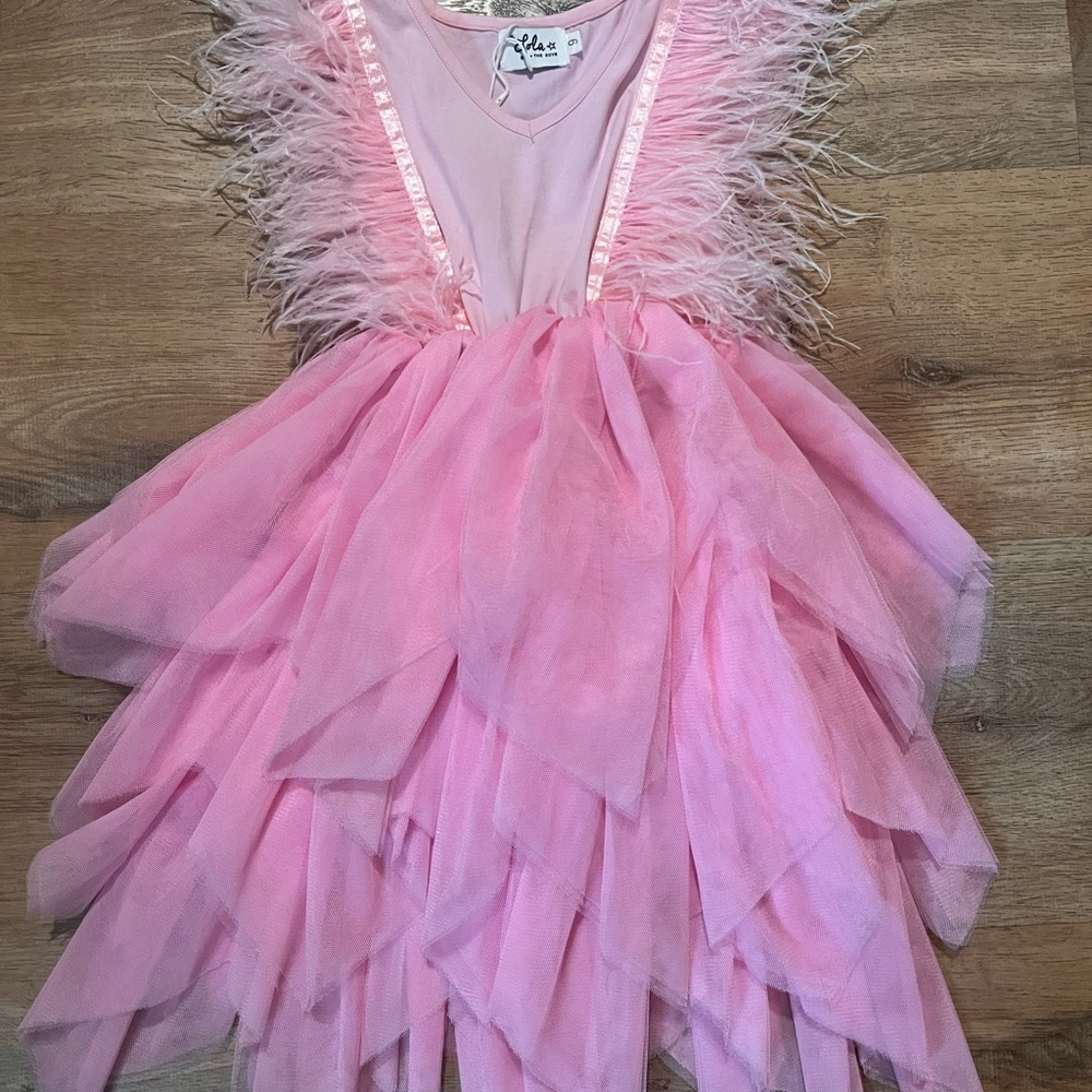 Pink Feathered Kids Costume Dress